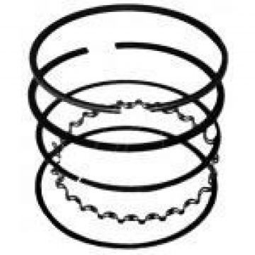 Segmenti Generator BRIGGS-STRATTON 170000, 171000, 190000-196000. 7 + 8 CP