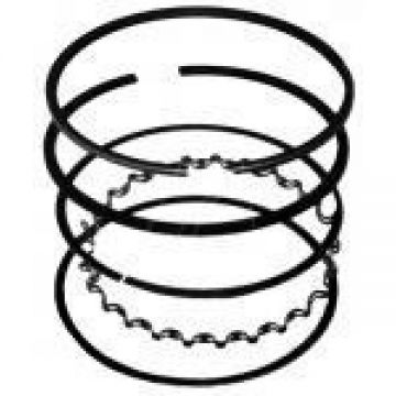 Segmenti Generator BRIGGS&STRATTON 170000, 171000, 190000-196000. 7 + 8 CP