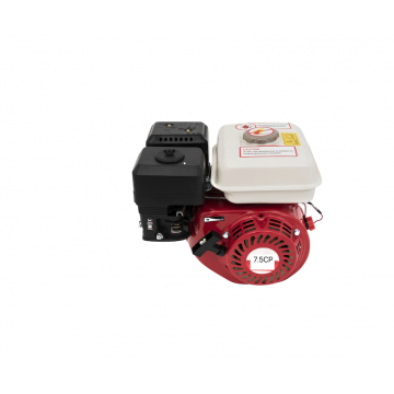 Motor pe benzina Campion CMP0238 7.5CP Ax 20mm 4 timpi